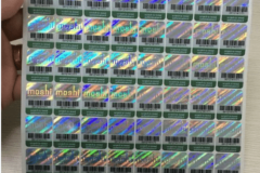 hologram-2